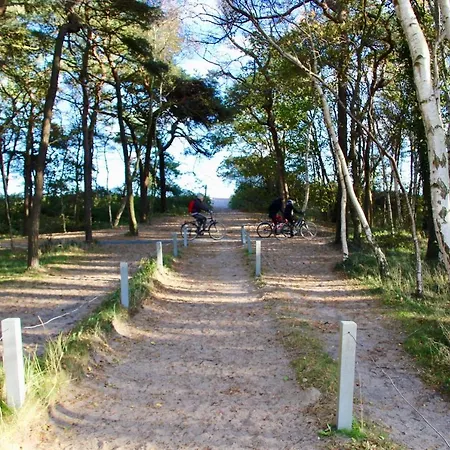 Finnhuetten Moenchgut Finnhuette 67 Feriehus Gager