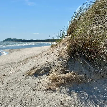 Feriehus Finnhuetten Moenchgut Finnhuette 67 *
