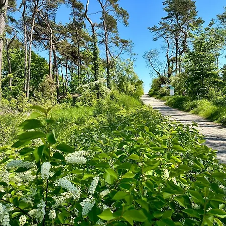 Finnhuetten Moenchgut Finnhuette 67