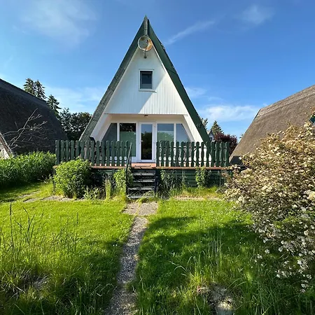 Finnhuetten Moenchgut Finnhuette 67 Holiday home